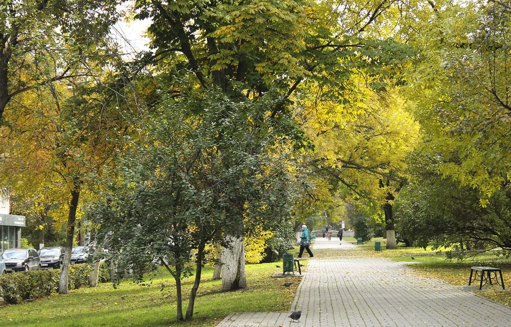 Photograph by Нинель Некрасова