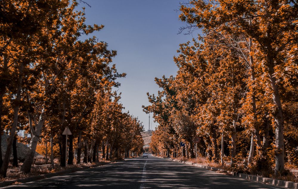 Фотография автора Abbas Ahmadi