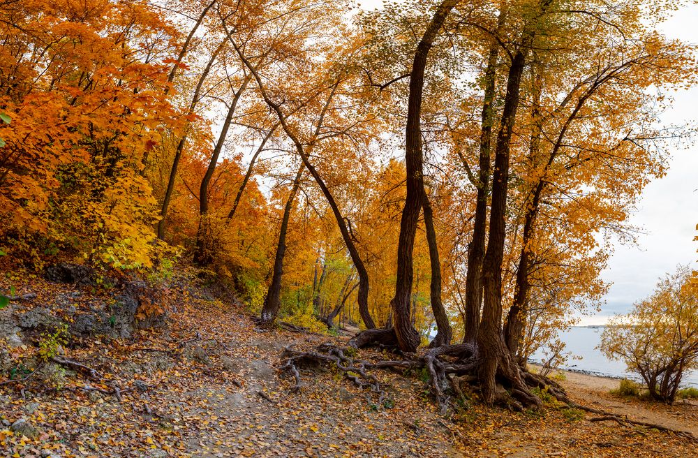 Photograph by Андрей Пшеничников