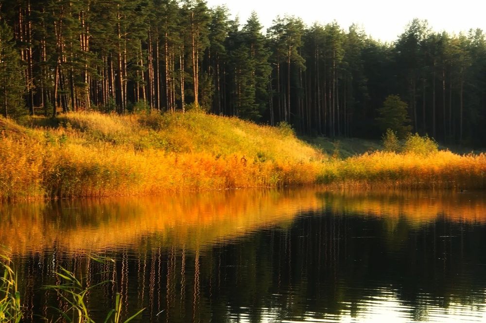 Photograph by Olga Asson