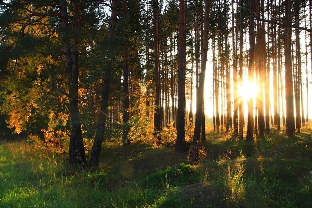 Photograph by Olga Asson