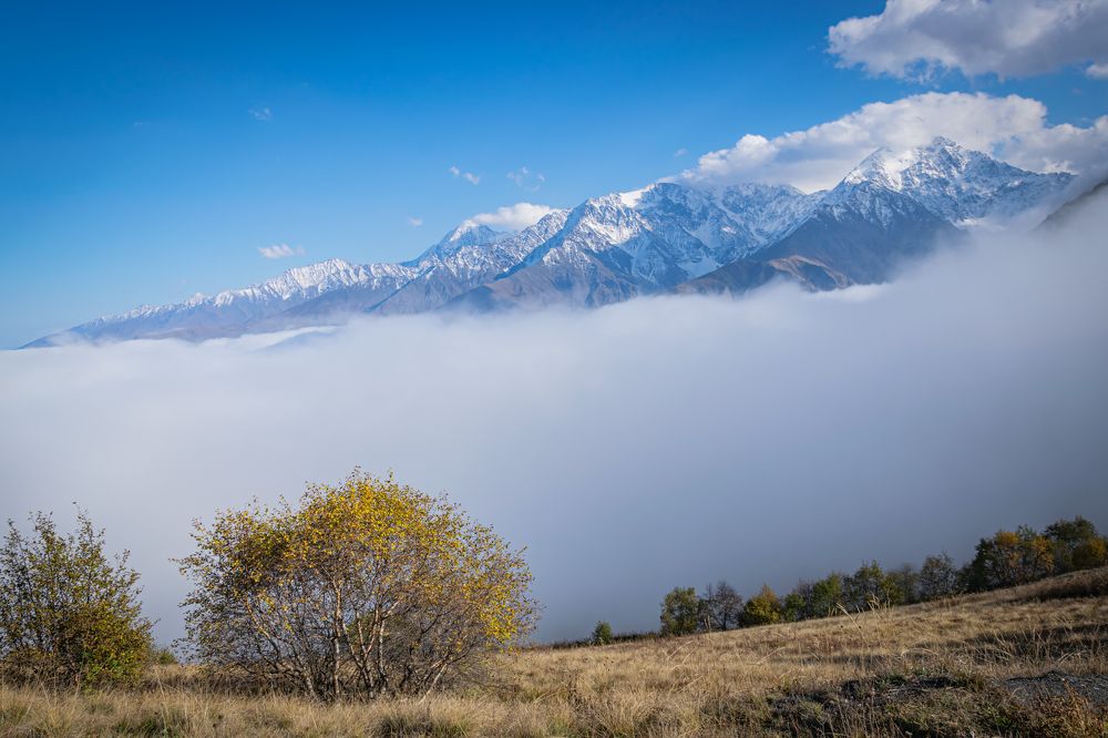 Фотография автора Оксана Белозерская