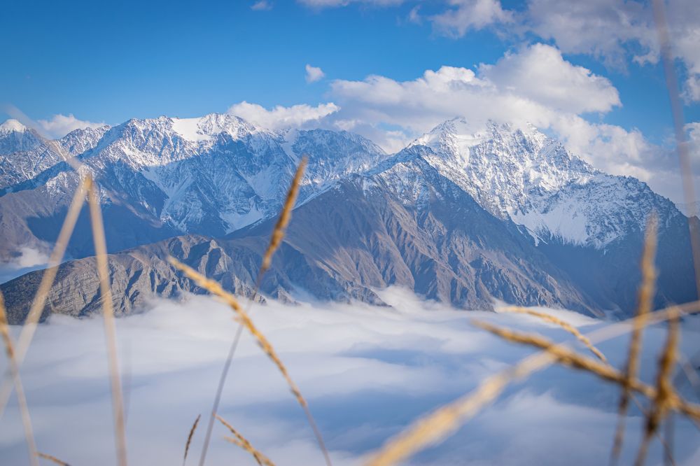 Фотография автора Оксана Белозерская
