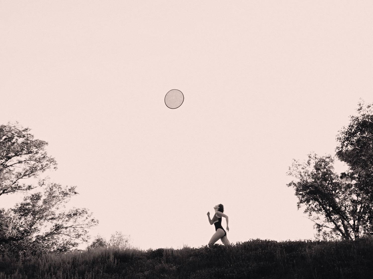 Photo #6556166