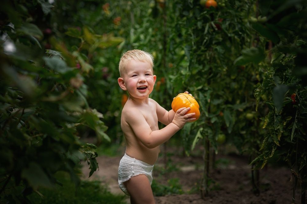 Photograph by Алёна Шаталова