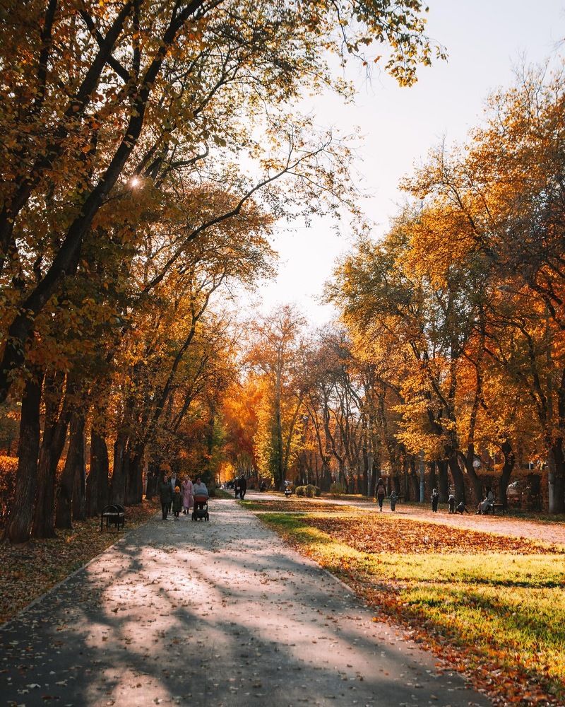 Photograph by Альбина Баташова