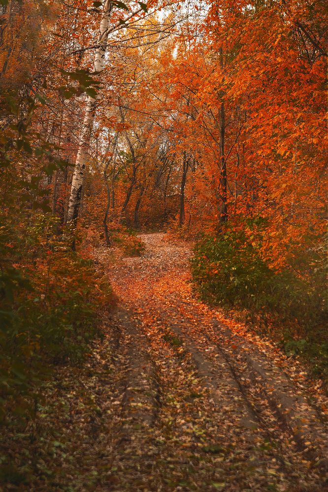 Photograph by Альбина Баташова