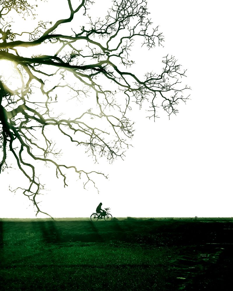 Photograph by Vibhu Singh