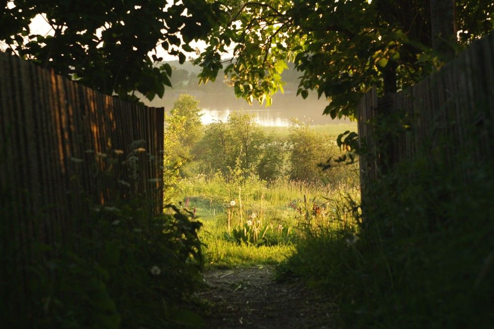 Photograph by Анна Азарёнок