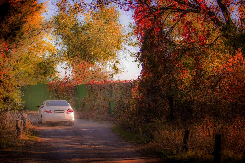 Photograph by Миша Петров