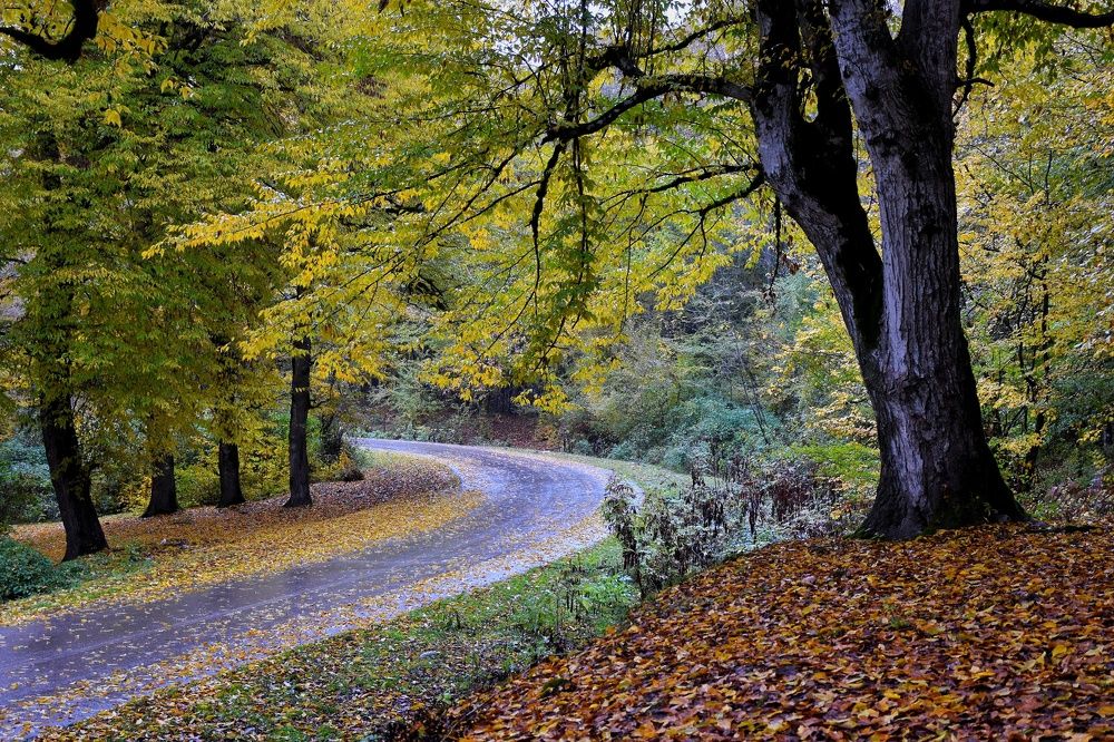 Photograph by seyyed mohammad andy