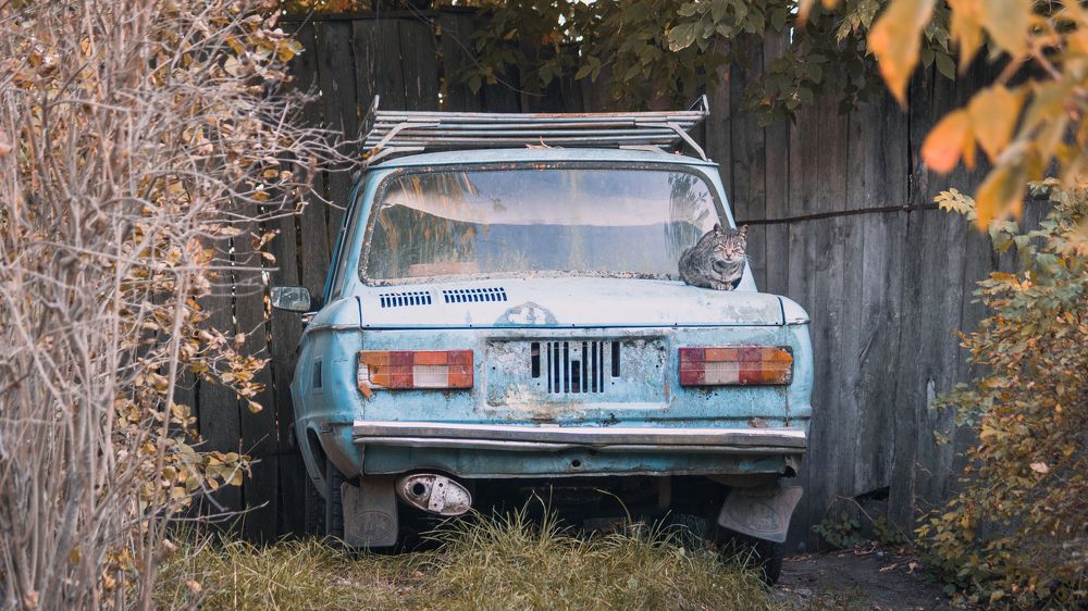 Photograph by Илья Замулин