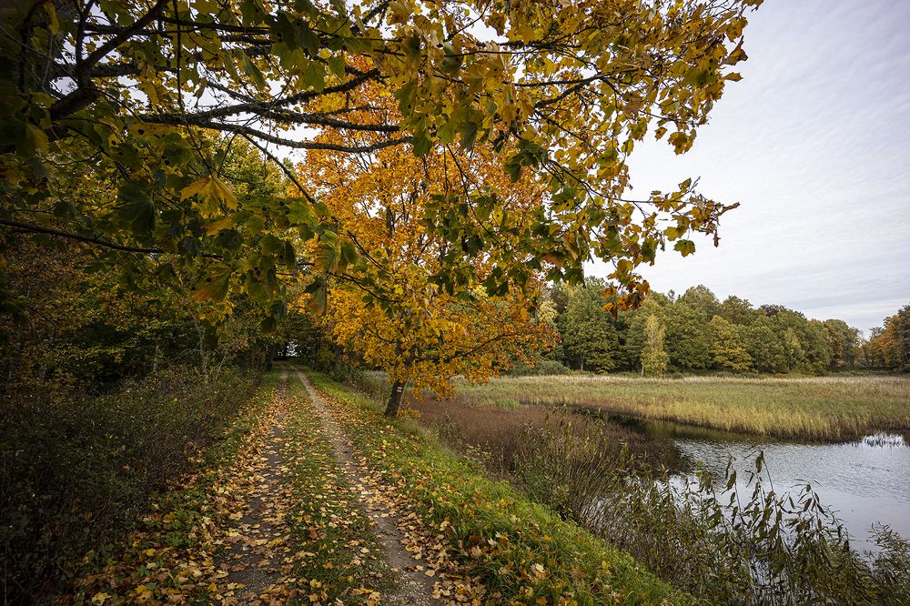 Photograph by Normunds Kaprano