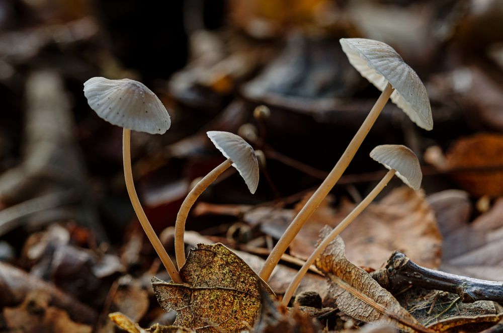 Photograph by Oleg Yashin