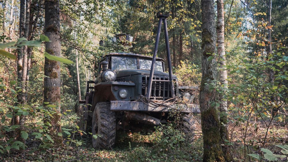 Photograph by Илья Замулин