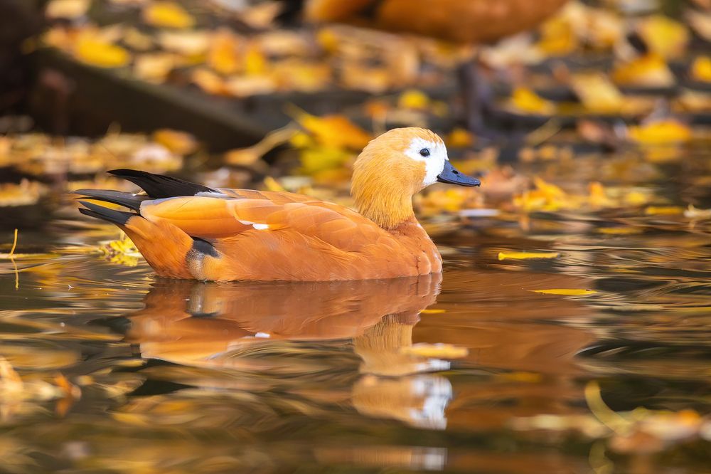 Photograph by Власов Егор