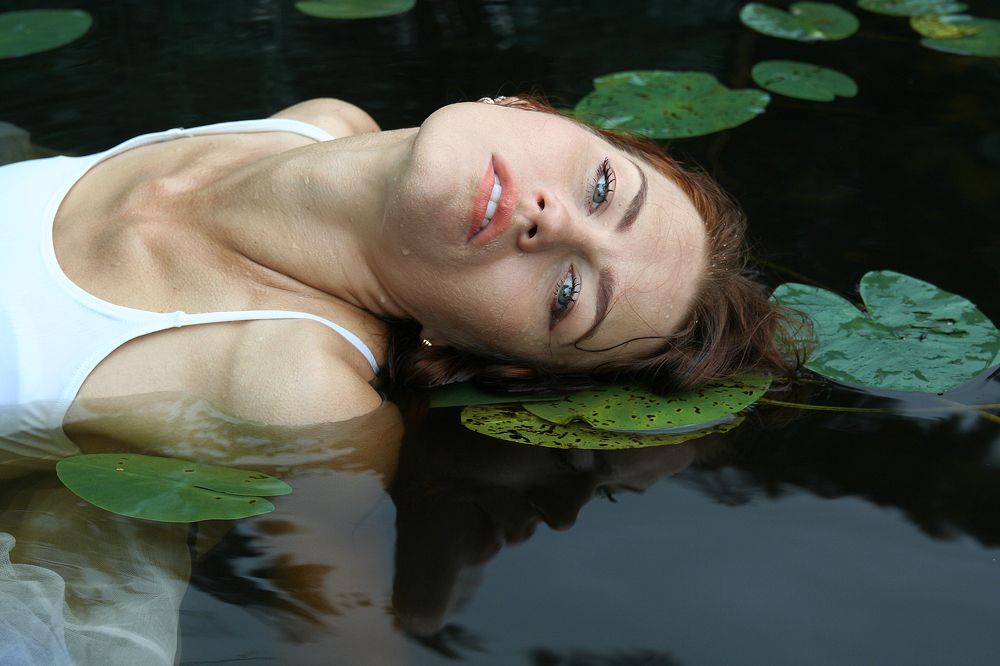 Photo #6556320