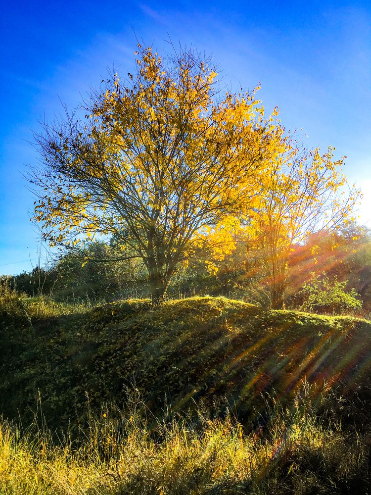 Photograph by Sergey Trush