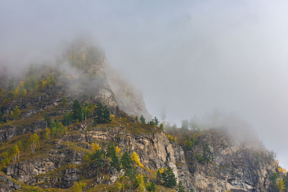 Паруса в тумане.