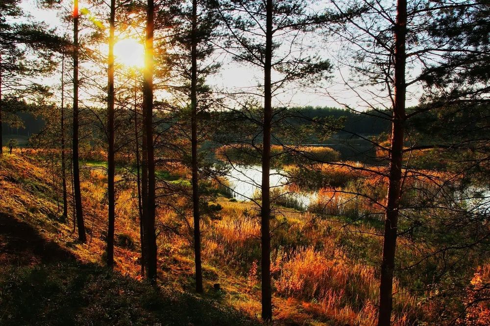 Photograph by Olga Asson