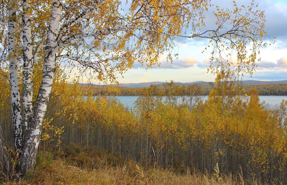 Photograph by Наталья Юрова