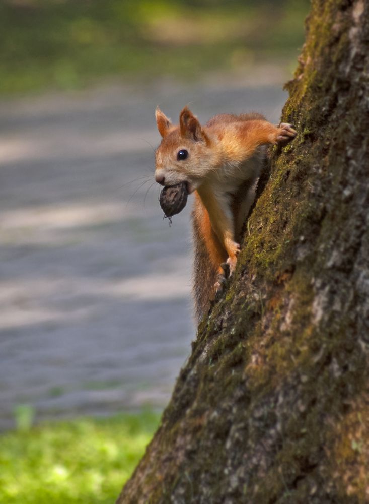А ты мне что?