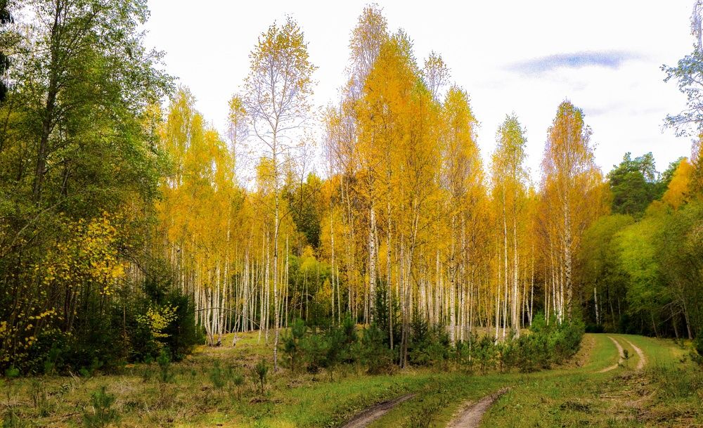 Photograph by Екатерина Казарцева