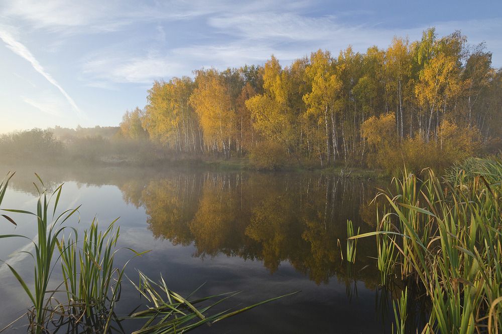Во власти осени