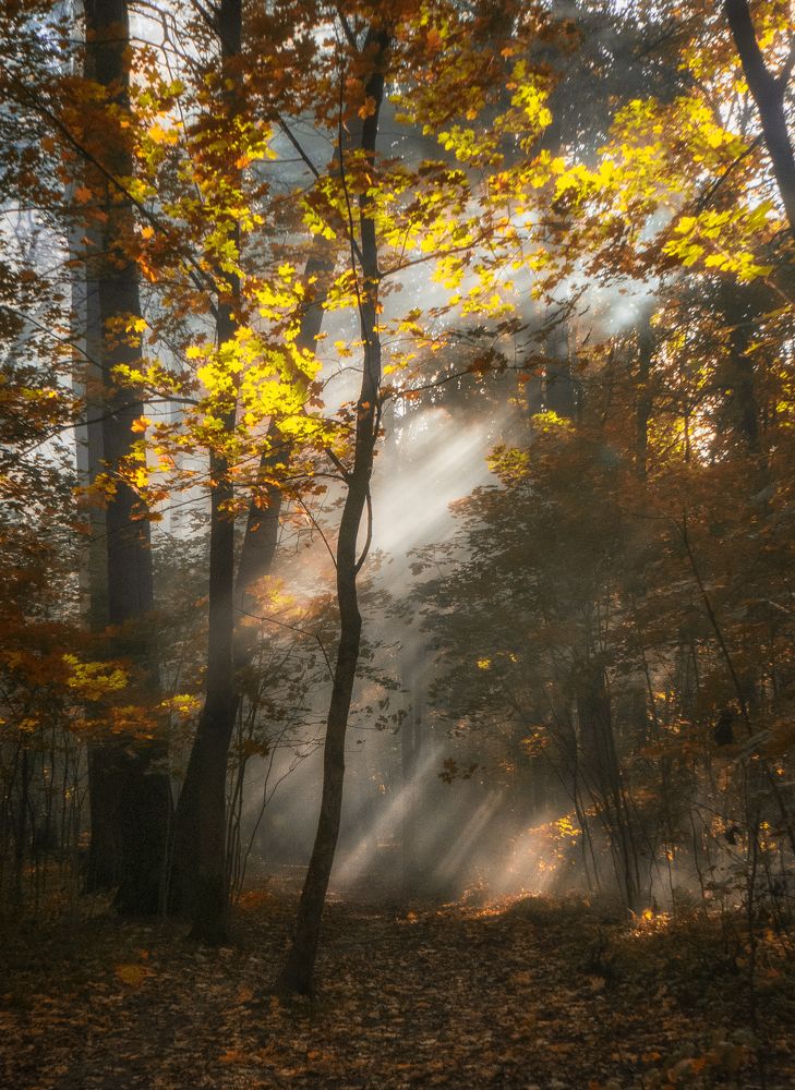Photograph by Елена Вакумова