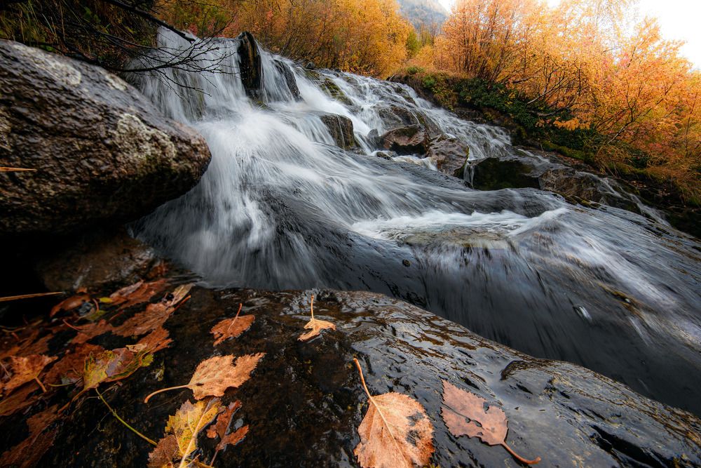 Photograph by Наргиза Кахарова