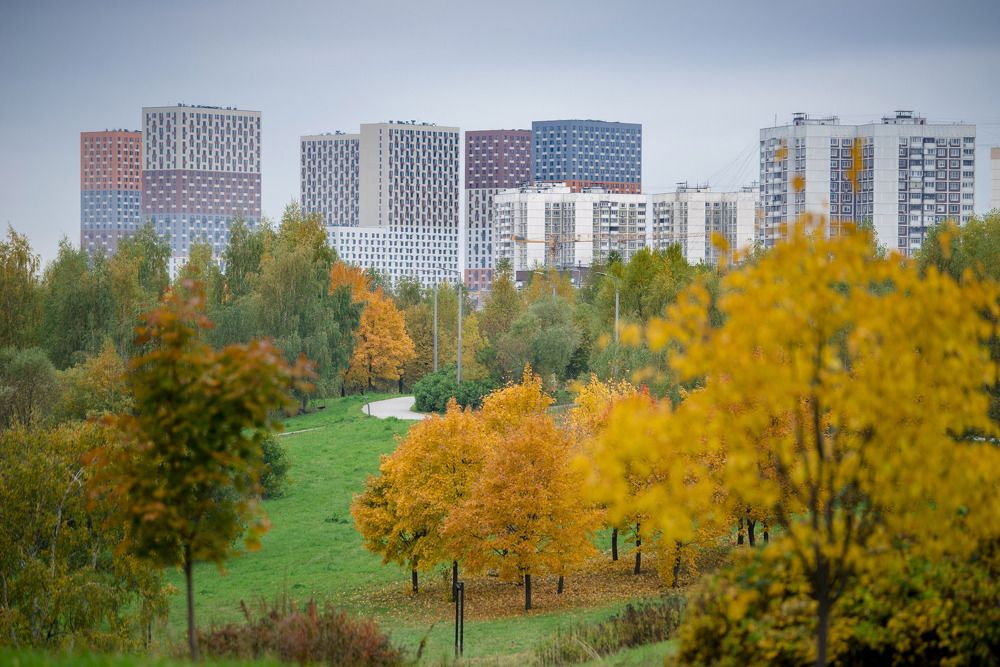 Осень 2021 в Москве.