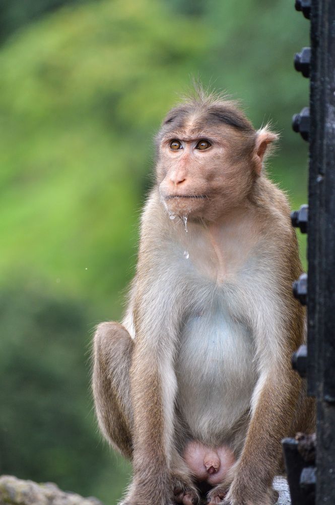 Photograph by Ruchi Jadiye