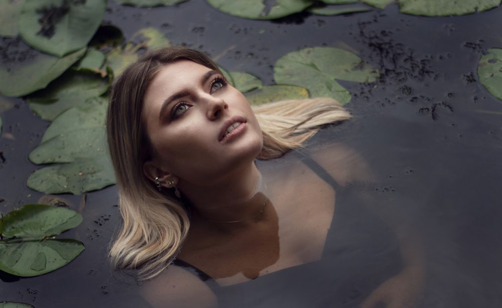 Water Lily