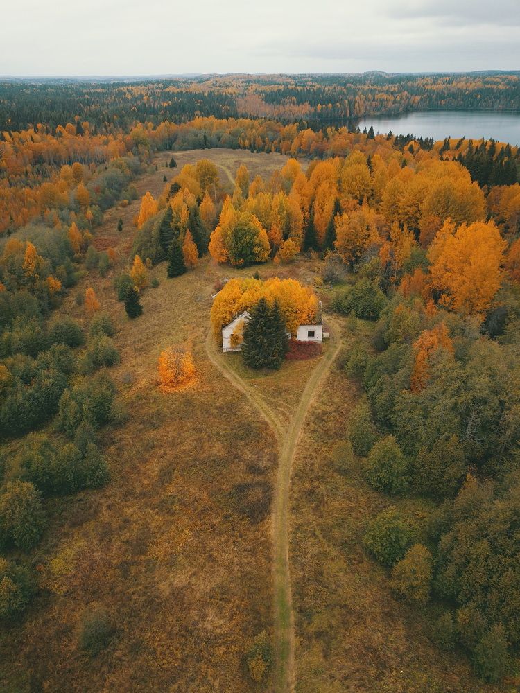 Photograph by Дмитрий Копылов