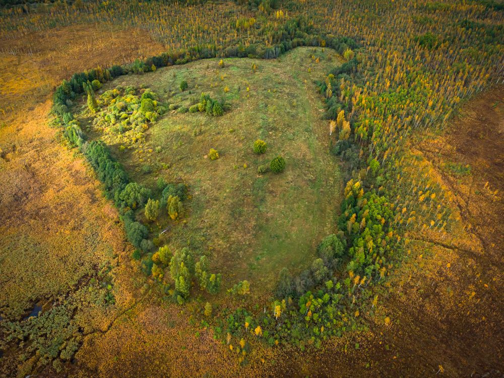 Photograph by Дмитрий Котов