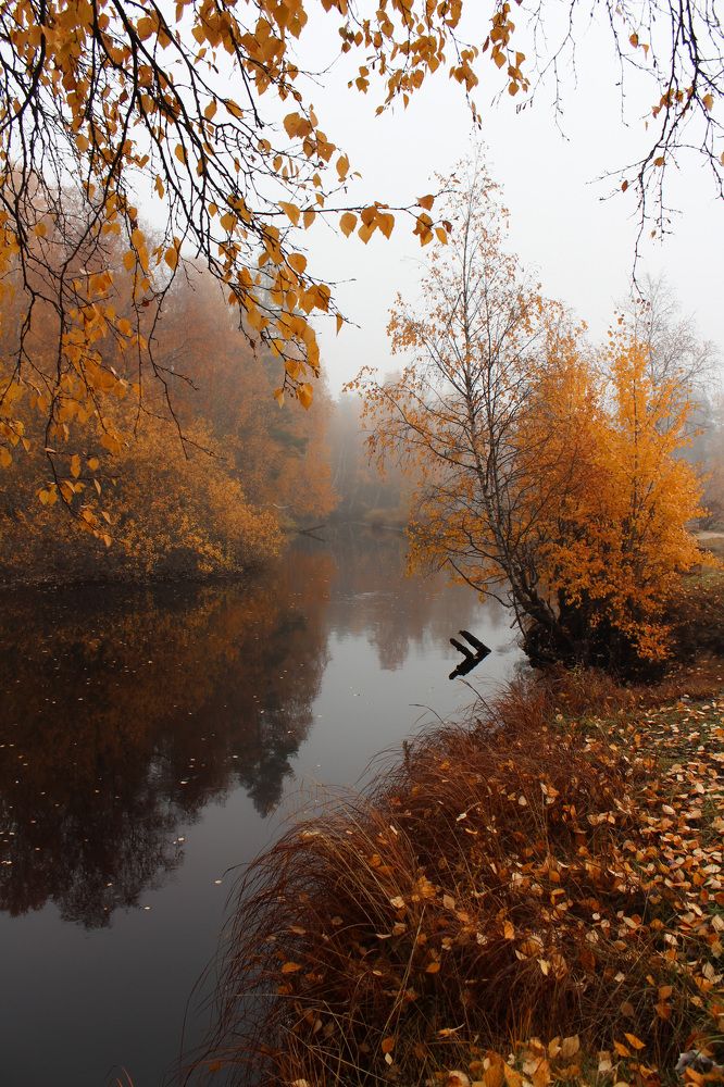 Photograph by Мария Василенко