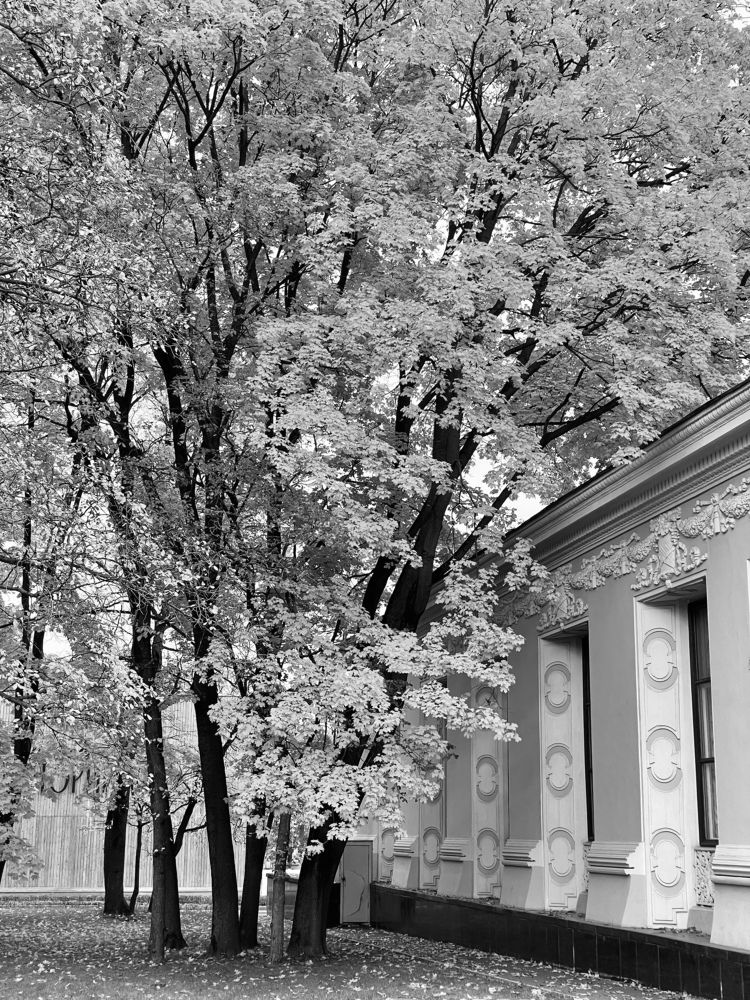 осенние зарисовки