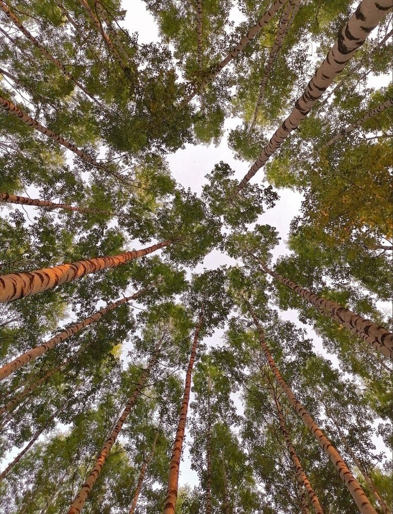 Photograph by Ольга