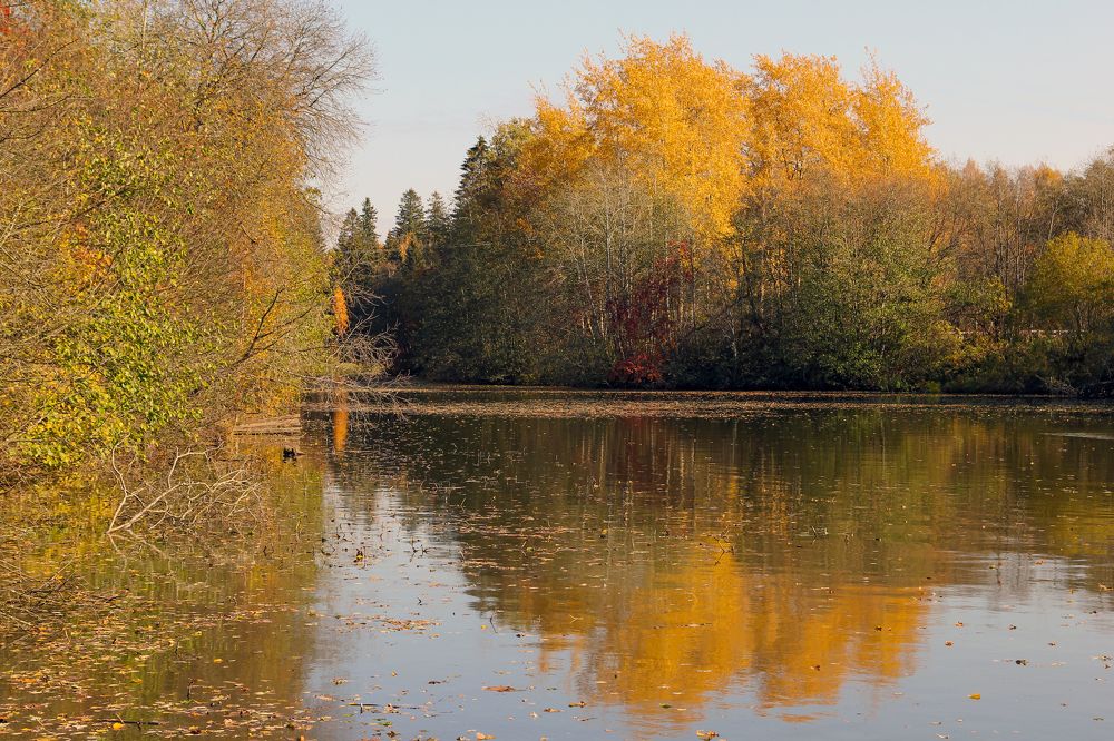 Photograph by Сергей Иванов