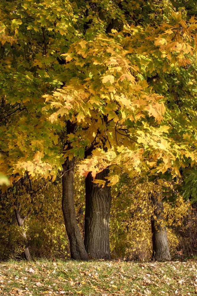 Photograph by Александр Осипов