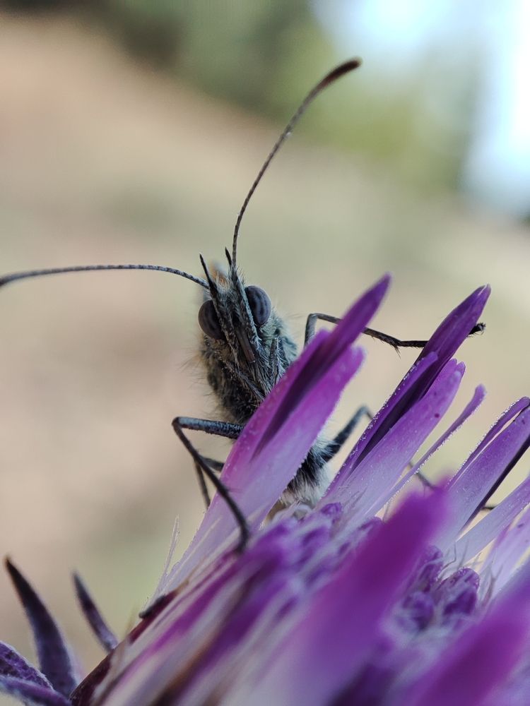 Photograph by Ирина Шевчук