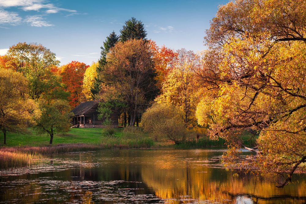 Photograph by Дмитрий