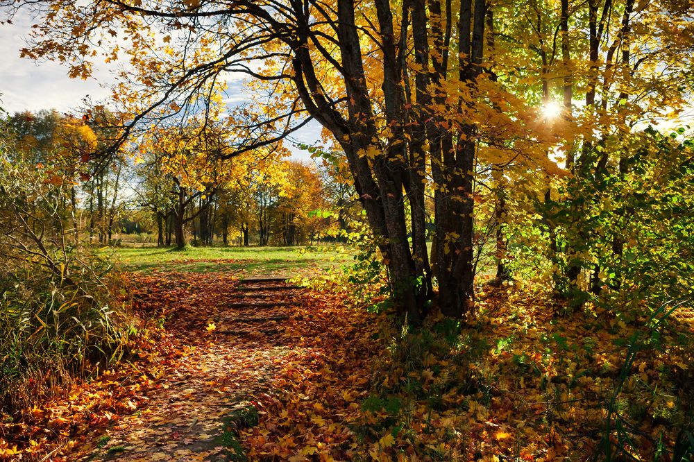 Photograph by Дмитрий