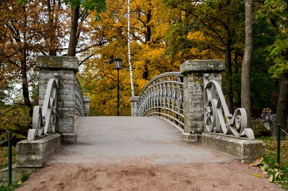 Photograph by Юля Курдова