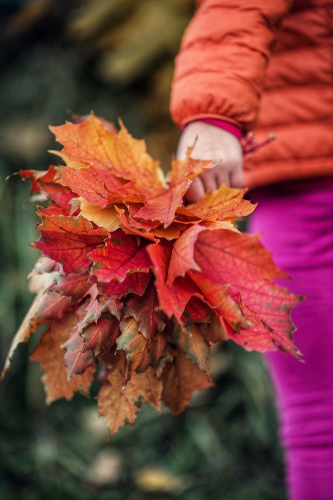 Photograph by Мария Путинцева