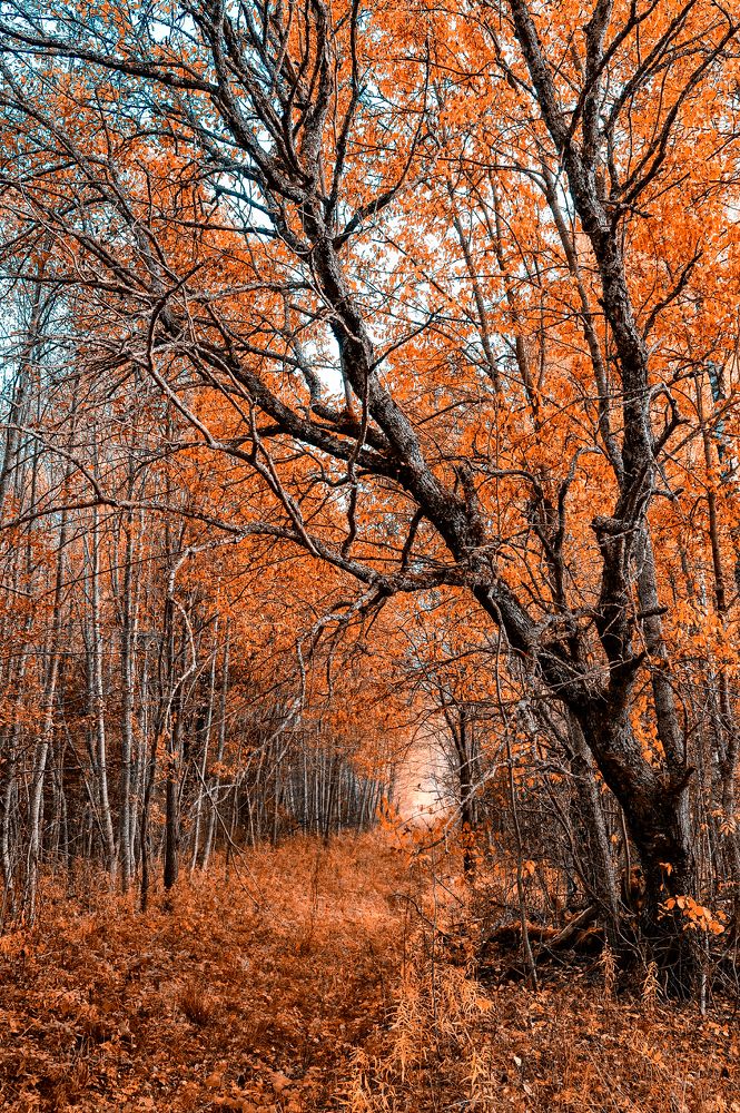 Photograph by Грязев Сергей