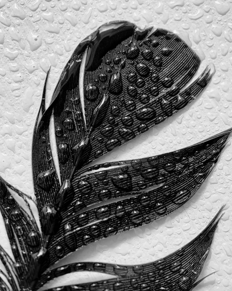 Photograph by Надежда Смирнова