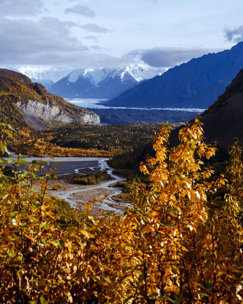 Photograph by Светлана