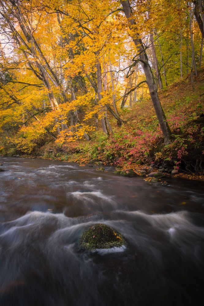 Photograph by Mark Keerd