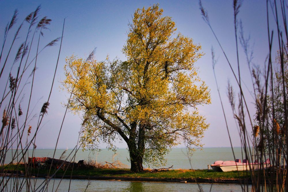 Photograph by Sandor Zoltan Gal